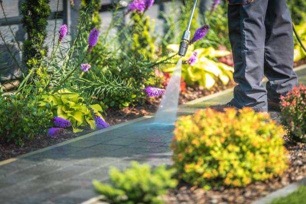  Bridgewater, VA Pressure Washing Pros