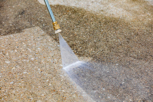Best Vinyl Siding Pressure Washing in Bridgewater, VA