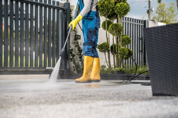 Best Window and Screen Pressure Cleaning in Bridgewater, VA
